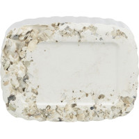 Minerālakmens putniem - Trixie Pecking stone with seashells, 200 g