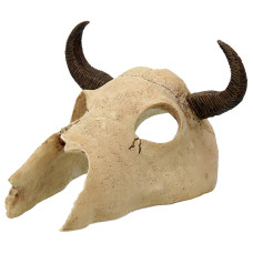 Dekors terārijam / galvaskauss : Repti Planet Buffalo skull 12,5x11,8x8cm