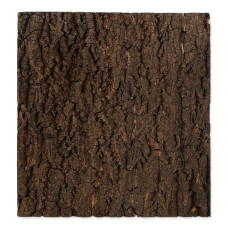 Reljefs terārijam : Repti Planet Background cork natural 43.5x56x2cm