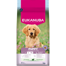 Sausa barība kucēniem - Eukanuba Puppy and Junior, LARGE, Lamb and Rice, 12 kg