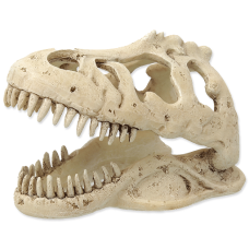 Dekors terārijam : Repti Planet T:REX skull 13,3x8,5x9cm