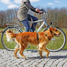 Pavada velosipēdam : Trixie Bicycle and jogging leash, 1.00–2.00 m/25 mm, black