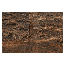 Reljefs terārijam : Repti Planet Background cork natural 29x27,3x2cm