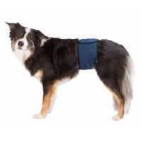 Autiņbiksītes suņiem : Trixie Diapers for male dogs, mesh material, M: 45–55 cm