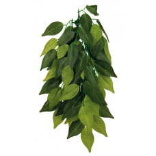 Dekors terārijam : TRIXIE Silk hanging plant, Ficus, 20*30 cm