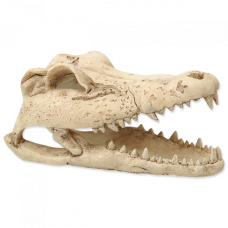 Dekors terārijam : Repti Planet Crokodil skull 13,8x6,8x6,5cm