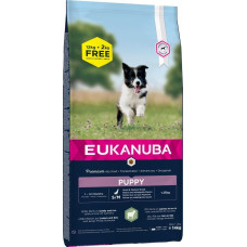 Sausa barība kucēniem - Eukanuba Puppy & Junior, Small & Medium, Lamb & Rice, 14 kg