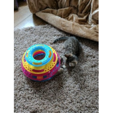 Rotaļlieta kaķiem : Trixie Cat circle tower, plastic, augstums : 25 cm