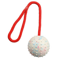Rotaļlieta suņiem : Trixie Ball on a rope, natural rubber, ø 7/30 cm