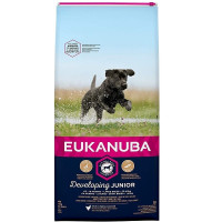 Sausa barība kucēniem - Eukanuba Junior Large Breed Chicken, 15 kg