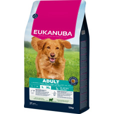 Sausa barība suņiem - Eukanuba Adult Large Lamb and Rice, 12 kg