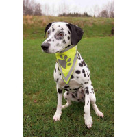 Atstarojošs lakats - Trixie Safer Life neckerchief, S–M: 29–42 cm