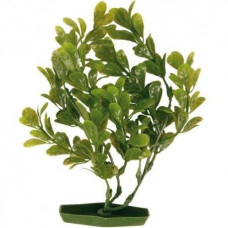 Dekoratīvs augs akvārijam : TRIXIE Assortment Plastic Plants, 17cm