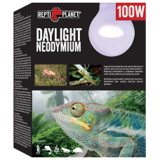 Spuldze terārija lampai : Repti Planet Bulb Daylight Neodymium 100W